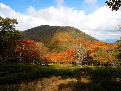 明神平（水無山）