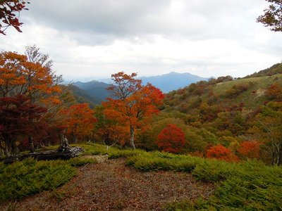 「ヒキウス平」（第二から第三）