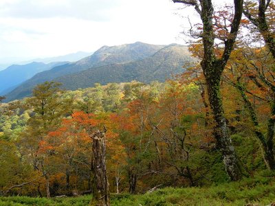 ウシロ嵓辺りから、桧塚方面
