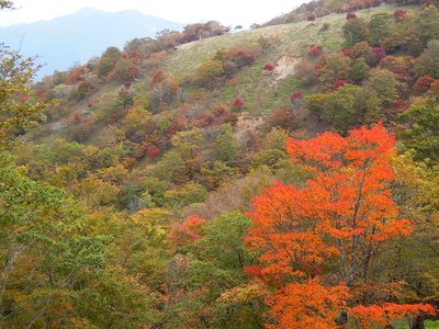 DSCN3544_925.jpg (319.66 KiB) 閲覧された回数 4631 回 第二から第三<br />赤い羊たち。