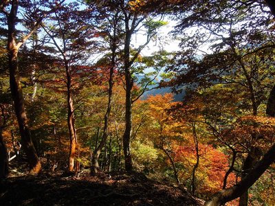 水無山北東尾根。