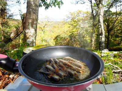 う～む、このオイルサーディン、オリーブ油使ってなかった!!