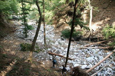 IMG_0870.jpg (469.91 KiB) 閲覧された回数 6300 回 コグルミ谷