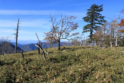 房小山の先.jpg (806.41 KiB) 閲覧された回数 9191 回 ザ・深南部