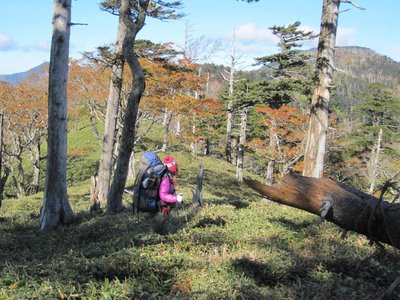 バラ谷ノ頭へ向かう