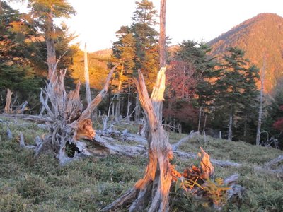 やっと朝日が…