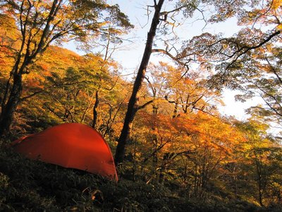 錦繍の千石沢源頭部