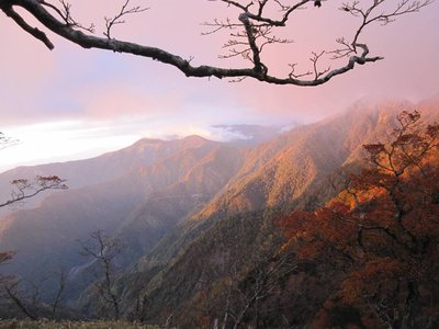 黒バラ平への激下り中に…