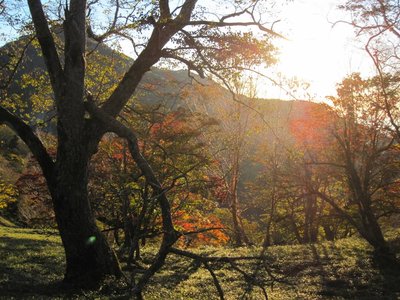 黒法師から前黒法師に続く草原