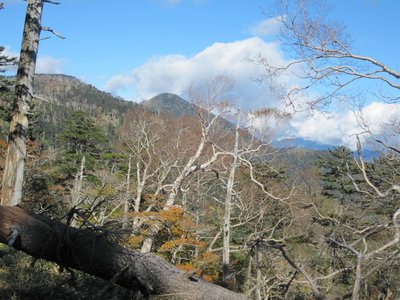 房小山から、バラ谷ノ頭、黒法師を望む