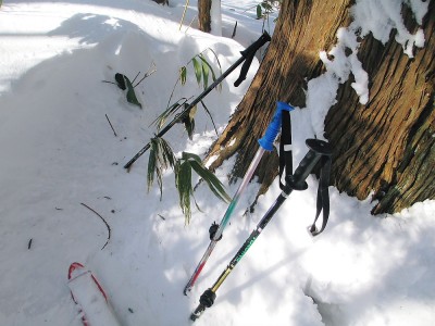 ナンだろう.JPG (152.21 KiB) 閲覧された回数 9779 回 ●モコモコ歩いてたらこんなの有ったよ、ナンダロウな?