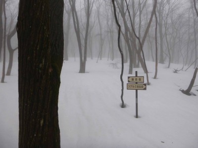 P1010855_1.jpg (145.79 KiB) 閲覧された回数 4882 回 カタクリ峠