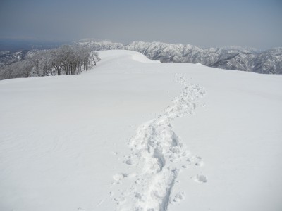 2012年 上谷山 038.JPG (4.58 MiB) 閲覧された回数 3794 回 2012年 上谷山