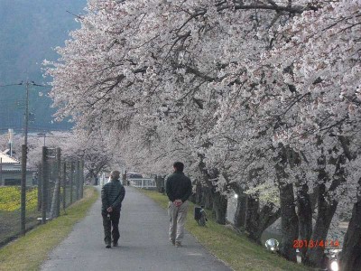 CIMG1062.jpg (99.17 KiB) 閲覧された回数 4978 回 僕と親父(何十年ぶりでしょうか、あんまり一緒の写真がないです)