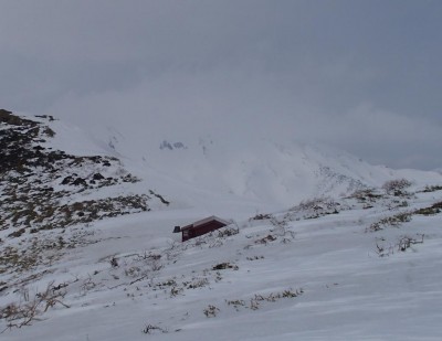 三ノ峰脇に恥かしげに・・・<br />すっきりと晴れていたのは午前中だけでした。