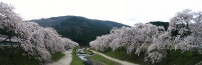 0604220006P.JPG (744.68 KiB) 閲覧された回数 4901 回 2006年4月22日