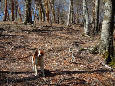 また、再会したいなぁ～♪