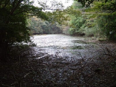 DSCF0008.JPG (214.88 KiB) 閲覧された回数 4828 回 ノタノホリ