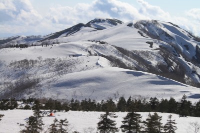 願教寺山.jpg (580.62 KiB) 閲覧された回数 6482 回 午後の願教寺山