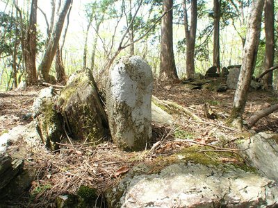 八大竜王（雨乞の神さん）の碑と奥に弥勒菩薩が見える帝釈山山頂。