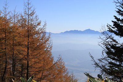 黄葉する落葉松と南アルプス.jpg (608.42 KiB) 閲覧された回数 2899 回 黄葉する落葉松と南アルプス連山