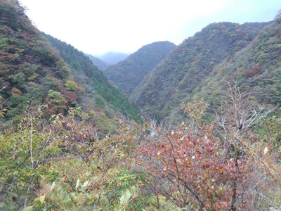 DSC_0013.jpg (192.47 KiB) 閲覧された回数 3713 回 保月手前より権現谷を見下ろす