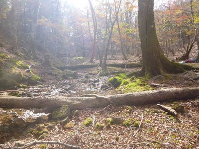 P1040624.jpg (122.75 KiB) 閲覧された回数 4186 回 テン泊地のせせらぎ