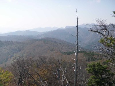 P1040606.jpg (62.31 KiB) 閲覧された回数 4183 回 これから歩く予定の稜線