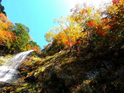 「夢幻滝」の紅葉。