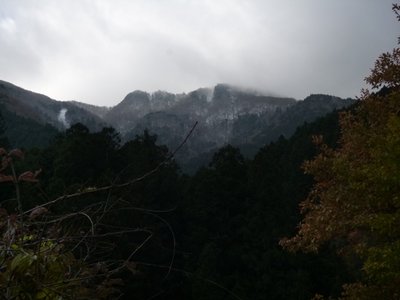 千秋手前尾根.JPG (143.21 KiB) 閲覧された回数 3548 回 つい先日ワリバシさんが歩いた尾根。雪も有るけど、雲も雪雲でした(木屋谷林道から)