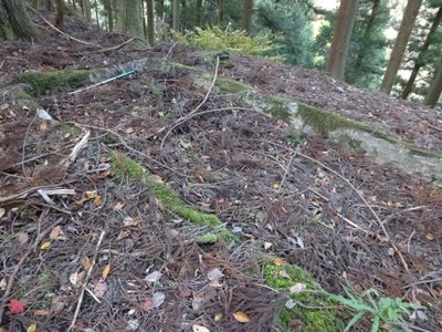 池の跡.JPG (220.13 KiB) 閲覧された回数 7244 回 池の跡。上部の平地に有りました。石をコンクリで固めてあります。