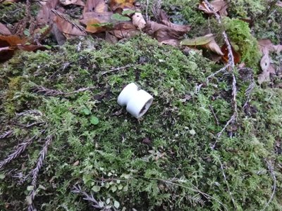 ガイシ.JPG (230.03 KiB) 閲覧された回数 7244 回 ガイシ。こちらはずいぶん小さな部品(親指くらい)でした