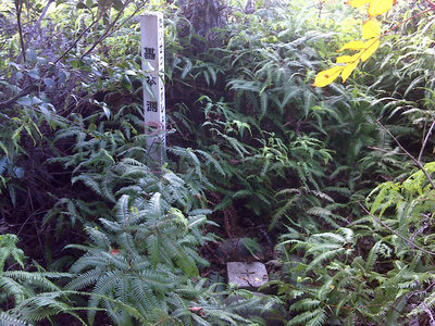 DSC00036.jpg (150.72 KiB) 閲覧された回数 4703 回 三角点発見