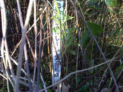 DSC00107.jpg (151.01 KiB) 閲覧された回数 4708 回 三角点は大切に!