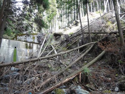 3番目の堰堤の左岸