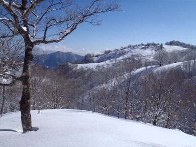 20140103-31.jpg (179.61 KiB) 閲覧された回数 8725 回 20140103-31.jpg