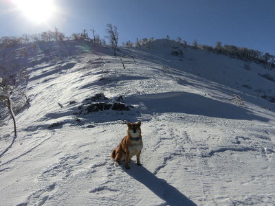 CIMG2018.jpg (159.42 KiB) 閲覧された回数 8678 回 青空と私