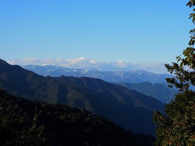 頂山山腹から見た大台ケ原～嘉茂助谷ノ頭。<br />中央の無線塔は419.4三角点のあるところ(本年1/19)