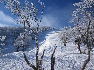 イメージトレーニングの鞍掛尾根がデジャブ