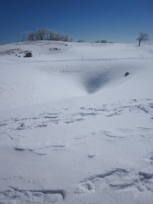 兵どもが夢のあと