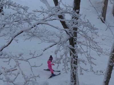 残念ながらmy孫ではありません