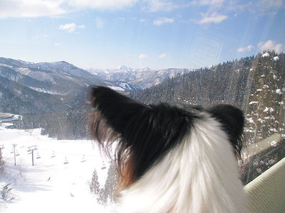 見てる.JPG (74.42 KiB) 閲覧された回数 7689 回 ひ孫とあそんでんねん