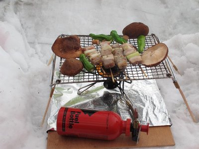 火力調整が難点のＭＳＲ　whisperlite