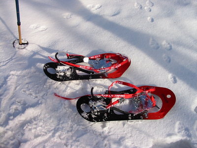 21世紀のブラックドラゴン　カッコいい!!