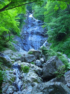 サスケ滝。<br />手前に落ちている水流は、枝谷(山高地図では、ワサビ谷)。