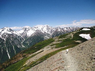 山はお天気が好いね、展望の道シツポふりふり
