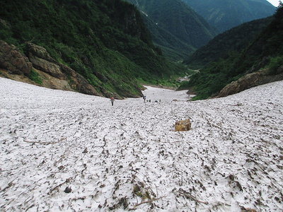針の木雪渓.JPG (173.49 KiB) 閲覧された回数 7425 回 雪渓短しまちがわない、涼しくていいコースだね。