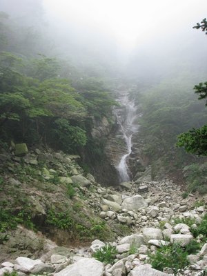 霧に煙る田光川　滝ヶ谷