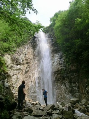 庵座の大滝