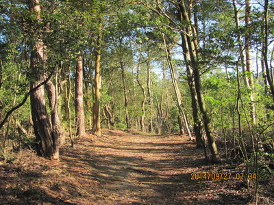 IMG_4001.JPG (1.18 MiB) 閲覧された回数 12048 回 IMG_4001.JPG